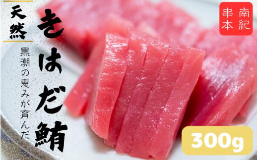 
和歌山県産 天然 キハダマグロ 約300g / まぐろ 鮪 キハダマグロ 海鮮 魚貝 魚　
