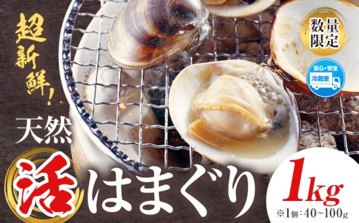 数量限定 天然 活 はまぐり 1kg 1個:40g～100g 寺田水産 《30日以内に出荷予定(土日祝除く)》千葉県 勝浦市 海産 貝 はまぐり【配送不可地域：離島・北海道・沖縄県・東北・中国・四国・九州】