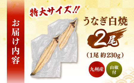 鹿児島県産 特上うなぎ 白焼き 2尾 [ADAH009] 白焼き