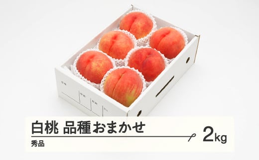 
            《先行予約》2025年 山形県産 もも 白桃 秀品 品種おまかせ 化粧箱入り 約2kg  令和7年産 ns-mohtx2
          