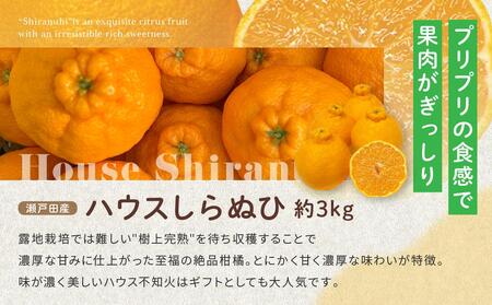尾道発 厳選！柑橘定期便（全2回）