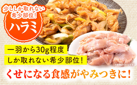 九州産若どり4.4kg小分けセット 若どり 鶏肉 小分け