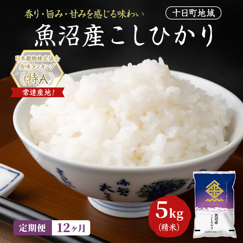 【12ヶ月定期便】魚沼産こしひかり(十日町地域) 精米 5kg 米 お米 コシヒカリ 定期 十日町市