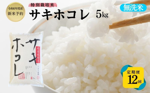 【令和6年産新米予約】<12ヵ月定期便>【無洗米】特別栽培米サキホコレ5kg×12回 合計60kg