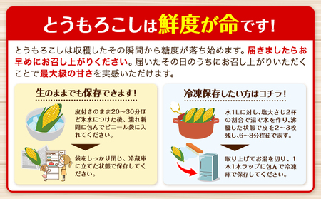 有機JAS栽培 とうもろこし オーガニック コーン 10本 Lサイズ 伊場ファーム《8月中旬-9月中旬頃より順次出荷》北海道 浦幌町 朝もぎたて とうもろこし スイートコーン 有機 新鮮 甘い 希少