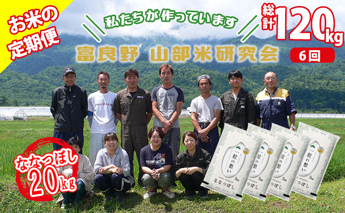 【令和6年度産】◆6ヵ月定期便◆ 富良野 山部米研究会【 ななつぼし 】精米 5kg×4袋（20kg）お米 米 ご飯 ごはん 白米 定期 送料無料 北海道 富良野市 道産 直送 ふらの