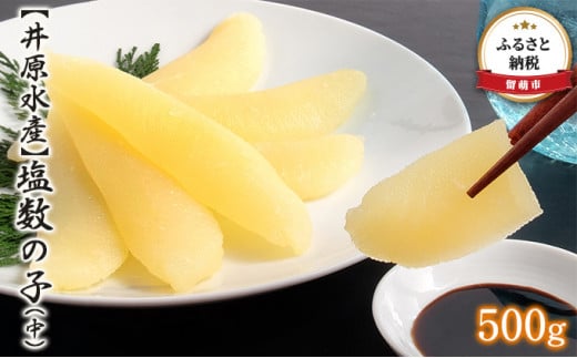 塩数の子 北海道 数の子 中 500g 井原水産 ごはんのお供 惣菜 おかず 珍味 海鮮 海産物 魚介 魚介類 おつまみ つまみ 本チャン かずのこ カズノコ 井原 水産 おせち