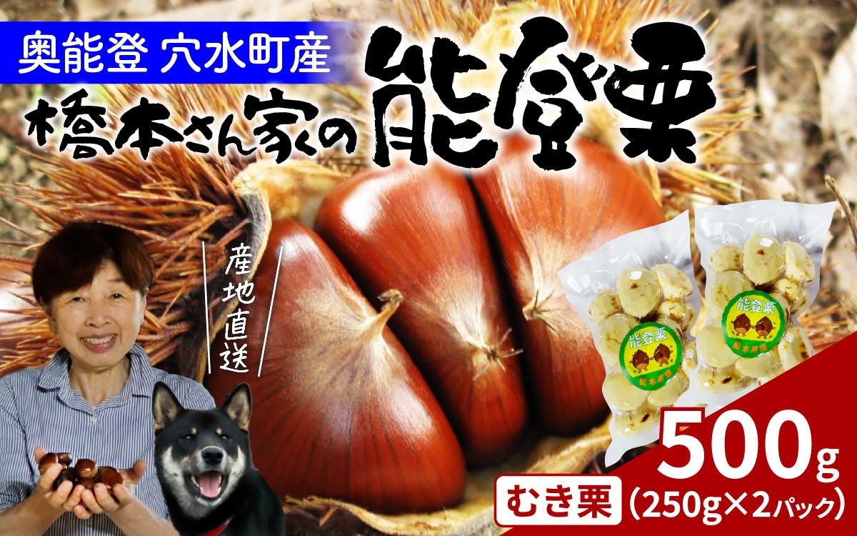
                  【先行予約】橋本栗園の能登栗（むき栗） 250g × 2パック 計500g【2026年10月より順次発送予定】 /  能登半島 奥能登 くり マロン 500グラム 和栗 焼き栗 栗ごはん 焼き栗 国産 果物 秋 スイーツ 甘露煮 皮むき
                