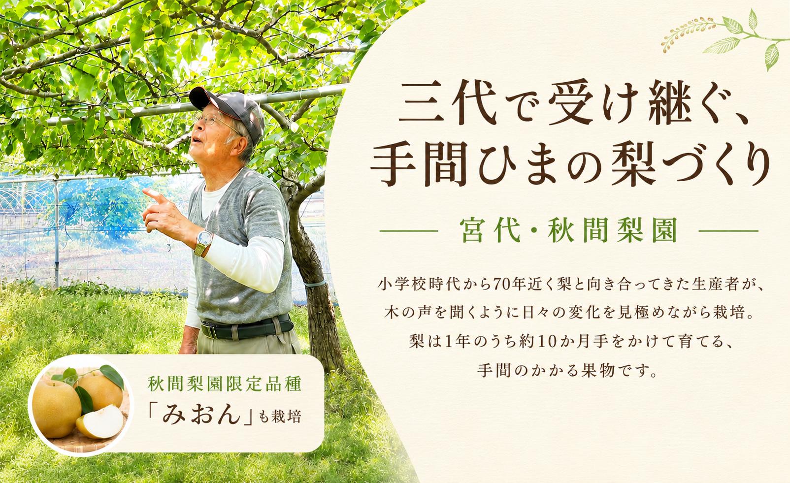 梨 なし ナシ 和梨 にっこり