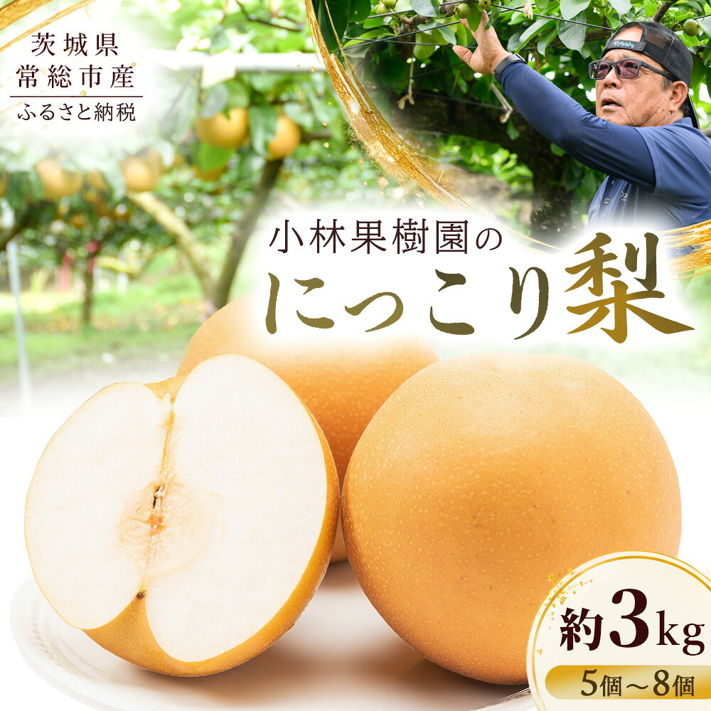 【ふるさと納税】【先行予約】小林果樹園の梨 にっこり 5〜8玉 約3kg｜朝どり みずみずしい 梨 なし ナシ フルーツ 果物 常総市 お中元 お歳暮 内祝い 快気祝い　※2026年9月～発送