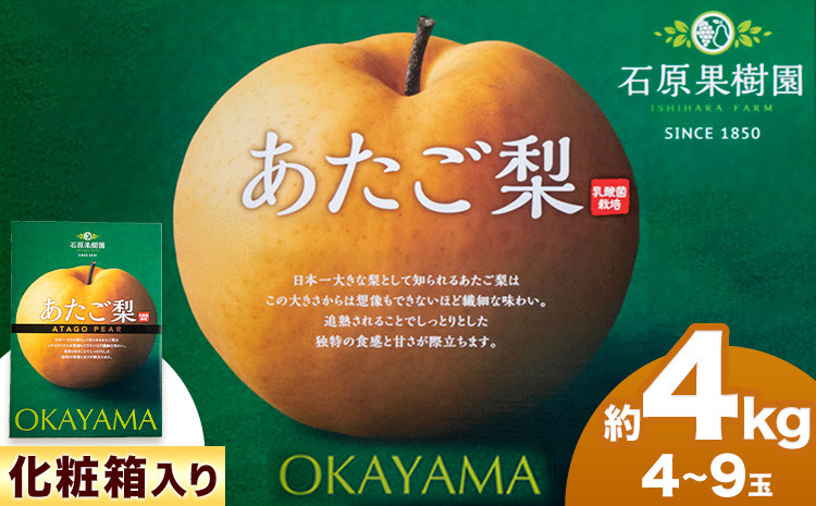 
                  【先行予約】あたご 梨 4〜9玉 約4kg 化粧箱 石原果樹園 《11月中旬-12月下旬頃より発送予定》岡山県 浅口市 フルーツ 果物 ギフト 贈り物 国産 岡山県産 送料無料
                