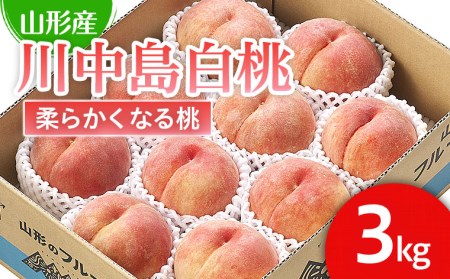 山形市産 桃「川中島白桃」 秀以上 3kg(8玉～11玉)[柔らかくなる桃] 【令和7年産先行予約】FU21-063 くだもの 果物 フルーツ 山形 山形県 山形市 2025年産