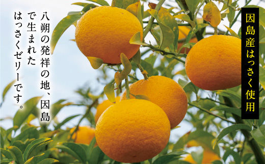 因島のはっさくゼリー72個入り