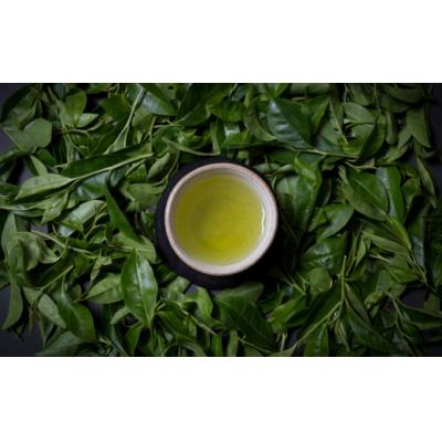 ふるさと納税 臼杵市 さっぱりとした爽やかな喉ごしの有機緑茶♪高橋製茶の「みのりの茶」ギフトセットA |  | 01