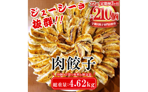 【3ヶ月定期便】餃子専門店 宇都宮 悟空 肉餃子 22g×70個入×3ヶ月｜餃子 冷凍 ぎょうざ ギョーザ  大容量  肉たっぷり 肉多め 人気 名物 行列 国産野菜 国産豚肉 ジューシー スタミナ パリパリ もちもち グルメ おかず おつまみ  栃木県 簡単 小分け 冷凍食品 定期便 ※離島への配送不可