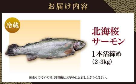 北海桜サーモン 1本活締め 2~3kg 新鮮 刺身 冷蔵 陸上養殖 生食可 桜色 トラウト サーモン 鮭 生鮭 サケ さけ 一本 1匹 一匹 姿 まるごと 国産 北海道産 道産 松前産 産地直送 お取