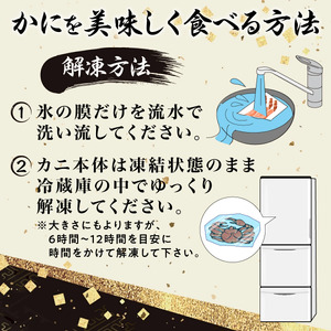 訳あり ズワイガニ 爪 1kg 冷凍 ボイル　ずわいがに ずわい蟹 カニ かに 蟹 しゃぶしゃぶ カニしゃぶ  サイズ違い 不揃い 規格外 