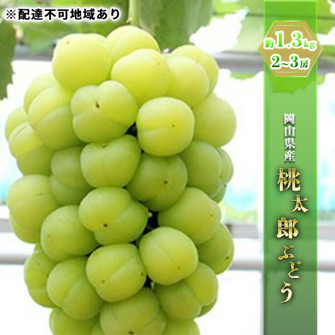 【ふるさと納税】ぶどう 2025年 先行予約 桃太郎ぶどう約1.3kg 2～3房 ブドウ 葡萄 岡山県産 国産 フルーツ 果物 ギフト 果物類 　お届け：2025年9月上旬～2025年9月下旬