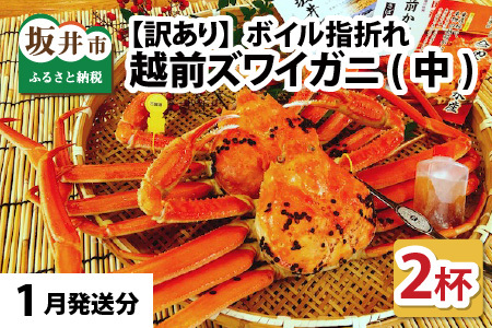 【1月発送】【先行予約】【訳あり】越前がに（中）2杯 指折れ 越前ズワイガニ [J-4304_01]