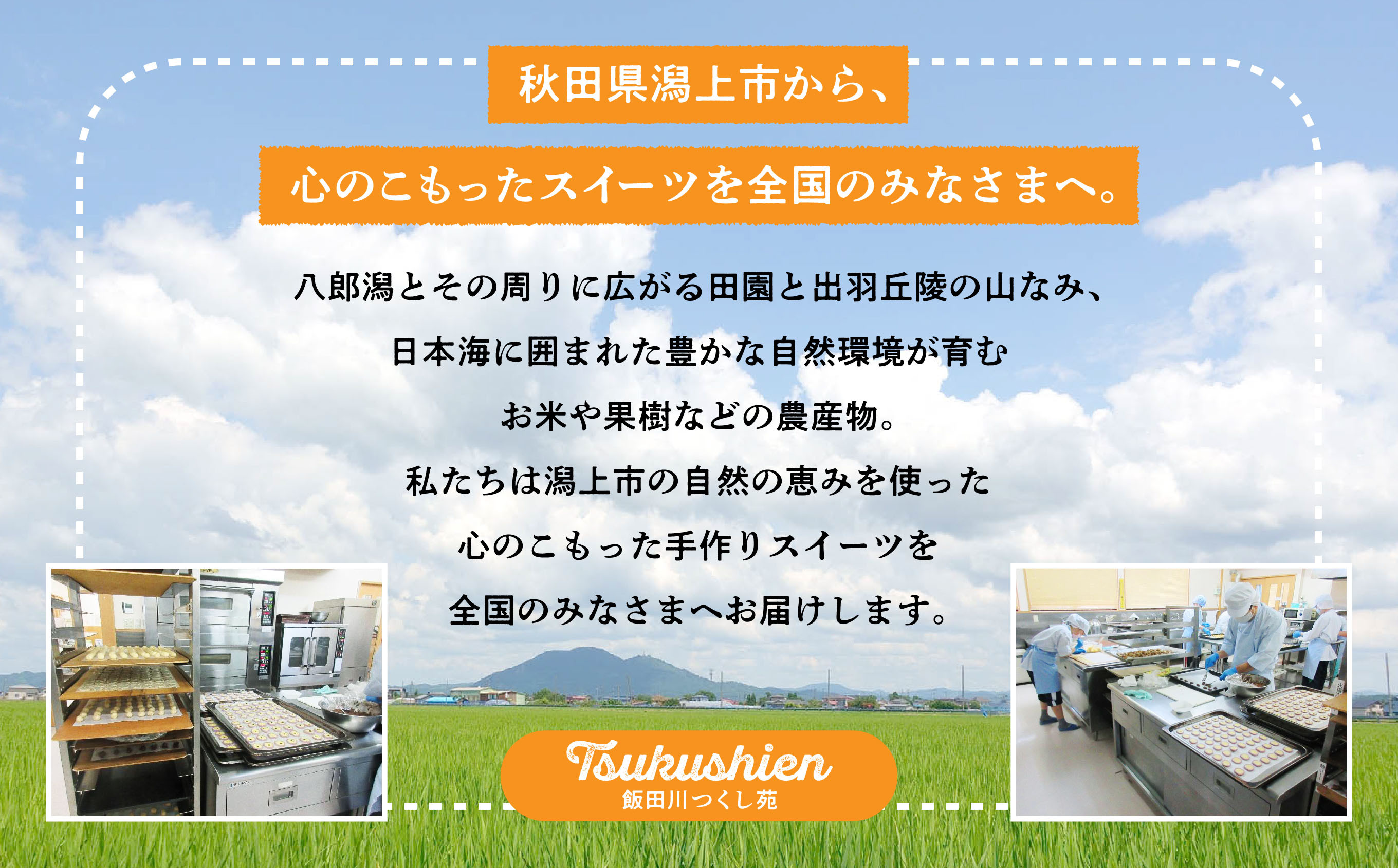 かぼちゃ ベイクドチーズケーキ 3個 セット 洋菓子 お菓子 ケーキ チーズケーキ チーズ カボチャ 南瓜 詰め合わせ 冷蔵 冷凍 ご当地 グルメ バレンタイン ホワイトデー 遅れてごめんね お取り寄