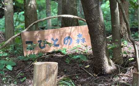 こびとの森自然探検あそび　小学生1名体験権 | 自然体験 アウトドア体験型 ファミリー向け 子ども冒険 森の探検 ファンタジー体験 ネイチャーゲーム こびとの家 秘密の宝箱 童話の世界 自然学習 非日