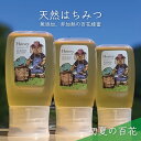 【ふるさと納税】合計900g 天然蜂蜜 国産蜂蜜 非加熱 生はちみつ 岐阜県 美濃市産 初夏 (蜂蜜300g入りピタッとボトル3本セット)B11　 ハニー 調理 料理 味付け 甘味 百花蜜 深い味わい 自然の味 無添加