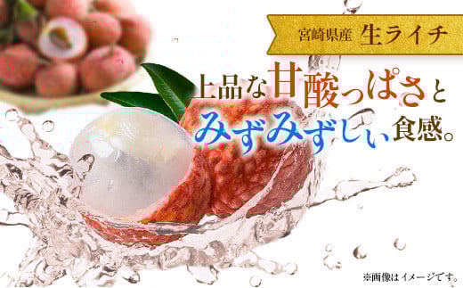 ＜訳あり＞ 完熟 マンゴー 約1kg ＆ 生ライチ 300g 果物 フルーツ 宮崎県産 特産 セット