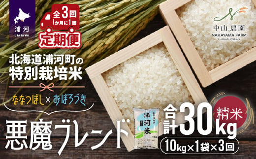 
【新米発送！】北海道浦河町の特別栽培米「悪魔ブレンド」精米(10kg×1袋)定期便(全3回)[37-1222]
