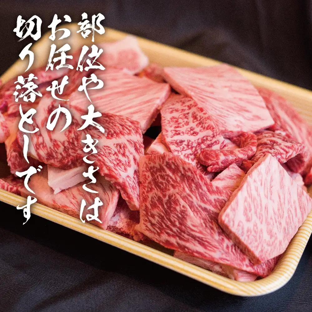 【定期便全3回】飛騨牛 訳あり焼肉1kg 切り落とし｜2ヶ月に1回 焼肉 LR105