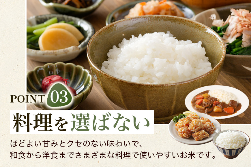 【6回定期便】 ひのひかり 米 お米 玄米 20kg 20キロ 令和8年産 新米 福岡県産 うきは市 国産 精米 ご飯 ごはん おにぎり お弁当 人気 おすすめ 家庭用 ギフト プレゼント お中元 お