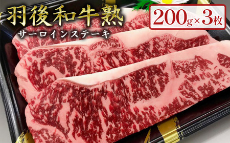「羽後和牛」の生みの親 「羽後和牛 熟」サーロインステーキ200g×3枚 