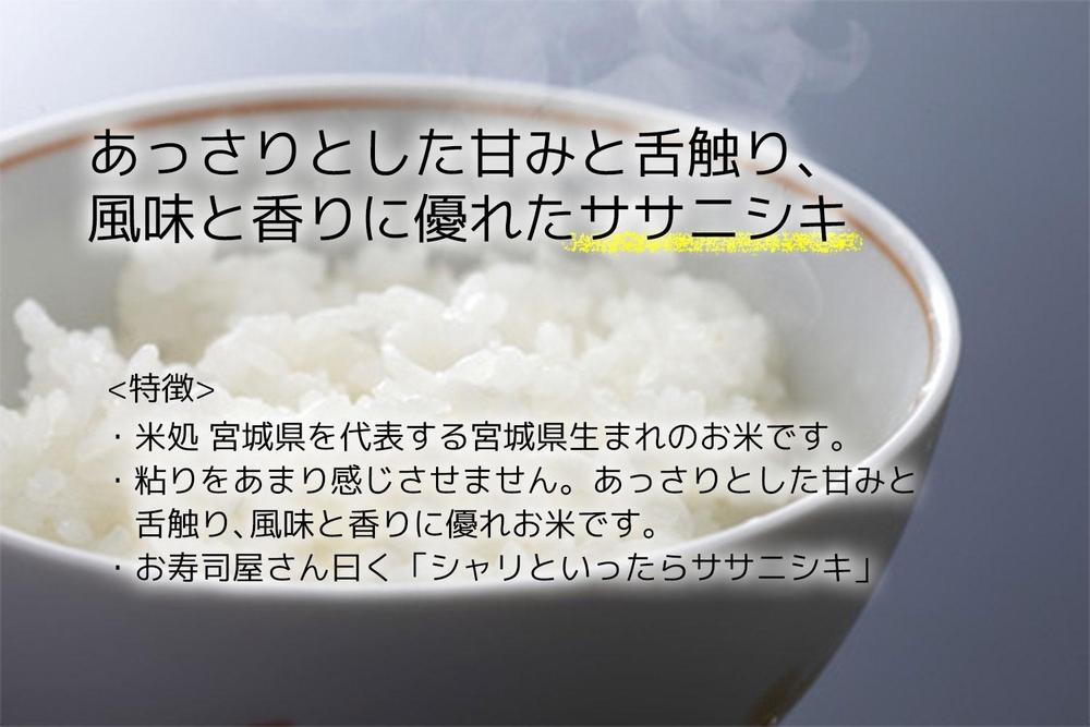 【ささにしき】令和7年度産 精米 10kg（5kg×2袋）宮城県産【米 お米 こめ コメ ご飯 ごはん】 ●