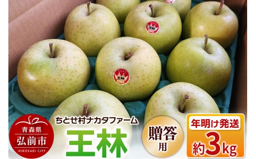 【26年1月～発送】りんご 王林 約3kg 贈答用 ちとせ村