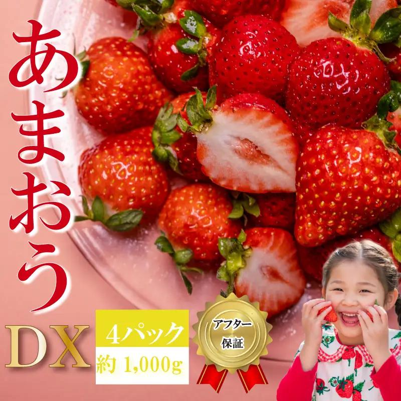 【2027年2月上旬‐3月上旬発送】先行予約 福岡県産 いちご あまおう  約250g×4P (約1000g) ｜苺 イチゴ KBY