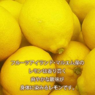 【先行予約】 レモン 約 1.5kg 12個 檸檬 フルーツ 果物 くだもの 柑橘 国産 新鮮 減農薬 ノンワックス 防腐剤 不使用 皮ごと 牡蠣 かき 魚 さかな 肉 にく スイーツ パスタ みかん