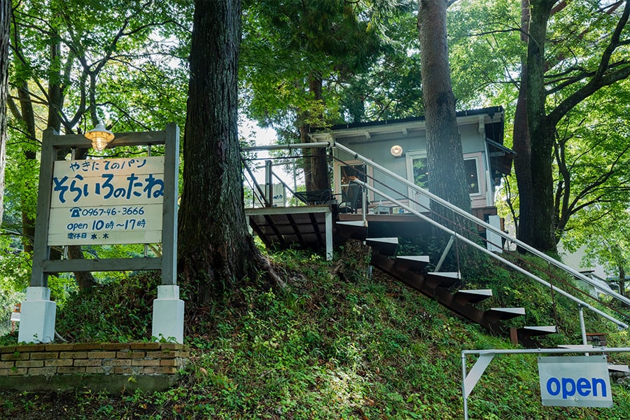 【そらいろのたね】 熊本 阿蘇 小国町 わいた温泉 山川温泉 手作りパン パンセット 詰め合わせ レーズン クロワッサン ジャージーミルク 木の実 チーズ クリーム セット 人気 ハンドメイド 創業2
