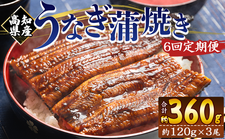 【６回定期便】高知県産養殖うなぎ蒲焼き 100～120g 3尾 Wfb-0043