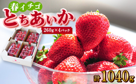 【春イチゴ】『とちあいか』(260g×4パック)_果物・フルーツ いちご  イチゴ 苺_【配送不可地域：離島】【1389987】