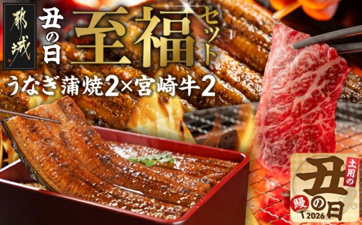 
                  【丑の日】宮崎県育ちのうなぎ蒲焼2尾300g以上≪山椒・たれ付≫&宮崎牛赤身(ウデorモモ)焼肉500g×2パック≪7月20日～25日お届け≫_AE-MMUG300_（都城市）
                