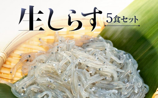 
生しらす5食セット

