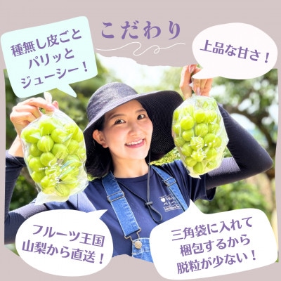 農園直送!厳選!山梨産シャインマスカット2房(1kg以上)【配送不可地域：離島・沖縄県】