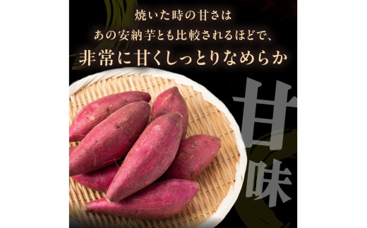 【先行予約】丹後産　さつまいも　紅はるか3kg　2027年1月下旬～配送 お野菜 野菜 正規品 ふるさと納税 さつまいも ふるさと納税 紅はるか べにはるか 甘い　AM00746_01