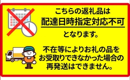 北海道 新しのつ産 とうもろこし 黄色 2L 8本 トウモロコシ とうきび イエロー コーン 旬 野菜 甘い お取り寄せ 国産 農作物 人気 BBQ JA新しのつ 送料無料 新篠津村 