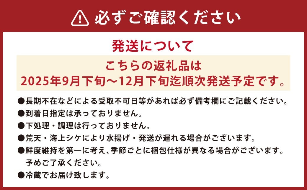 新鮮！長崎漁港発 活き〆本マグロ 中トロ500g ／ 魚 魚介 鮮魚 海鮮 鮪 マグロ まぐろ 本まぐろ 〆 中トロ 刺身 大将農園 長崎県 長崎市 【2025年9月下旬～12月下旬迄発送予定】