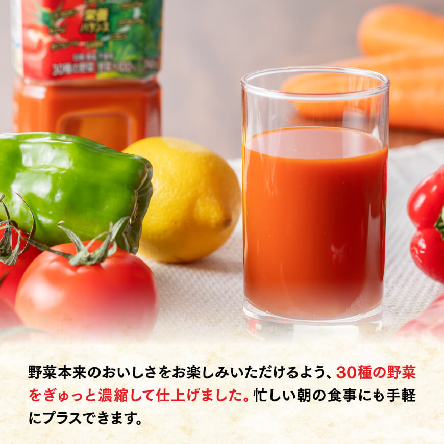 【6ヶ月定期便】 1日分の野菜PET 740g×15本　野菜ジュース[E7365t6]