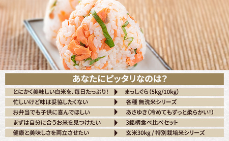 まっしぐら 玄米 青森県産 まっしぐら【10kg(5kg×2)】【先行予約】