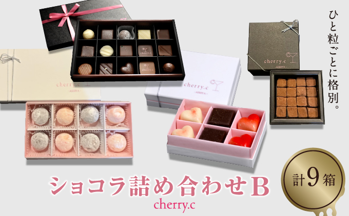cherry.ｃ ショコラ 詰め合わせB[ チョコレート スイーツ ギフト ]