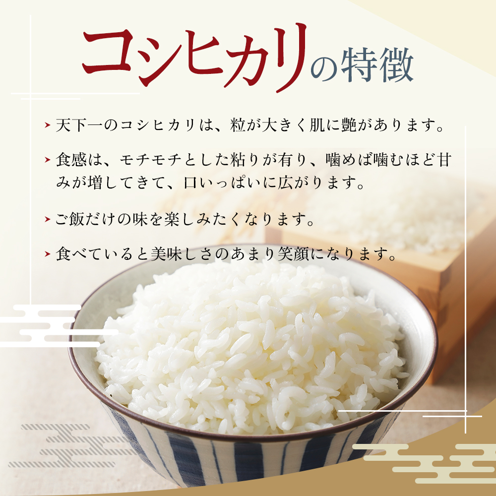 定期便 魚沼産 天下一コシヒカリ（商標） 3kg 食べればわかります！ 全9回 （ 米 定期便 9ヶ月 コシヒカリ こしひかり お米 精米 新潟 魚沼 魚沼産コシヒカリ 魚沼産こしひかり こめ）