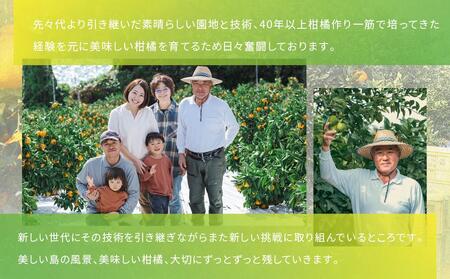 厳選！早春の香り！完熟はるか 家庭用（約3kg）2025年2月中旬～3月上旬 発送予定 フルーツ お取り寄せ 産地直送 もりの農園 ドルチェみかん