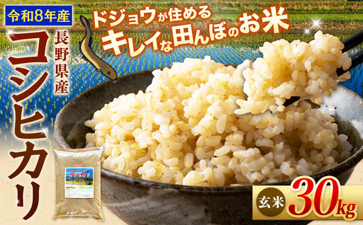 【令和8年産先行予約】『どじょうのいる田んぼのお米』コシヒカリ 玄米 30kg | 馬場農園